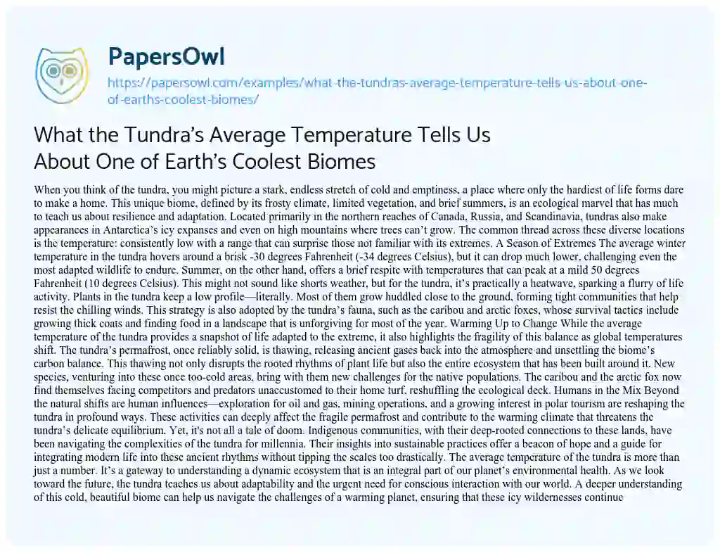 Essay on What the Tundra’s Average Temperature Tells Us about One of Earth’s Coolest Biomes