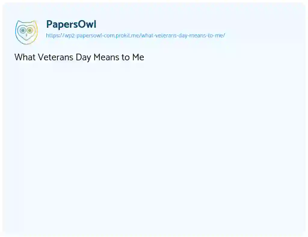 Essay on What Veterans Day Means to Me