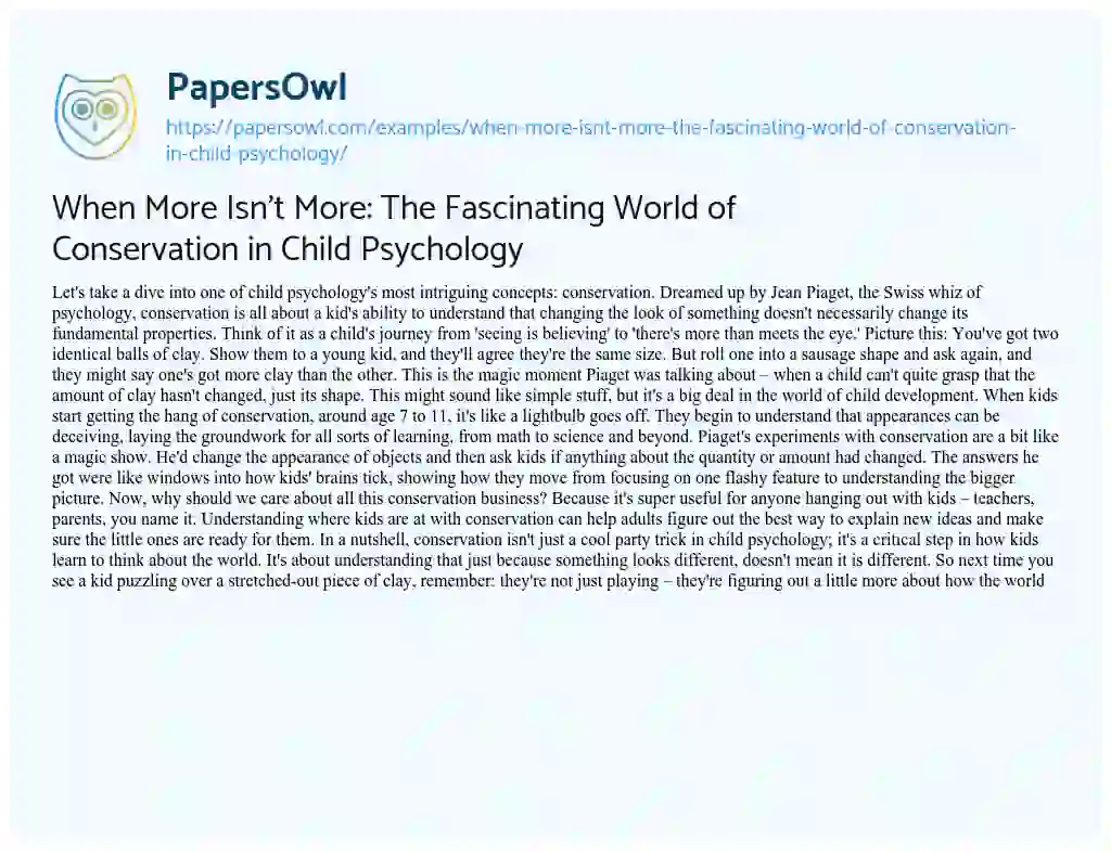Essay on When more isn’t More: the Fascinating World of Conservation in Child Psychology
