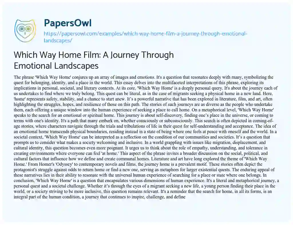 Essay on Which Way Home Film: a Journey through Emotional Landscapes