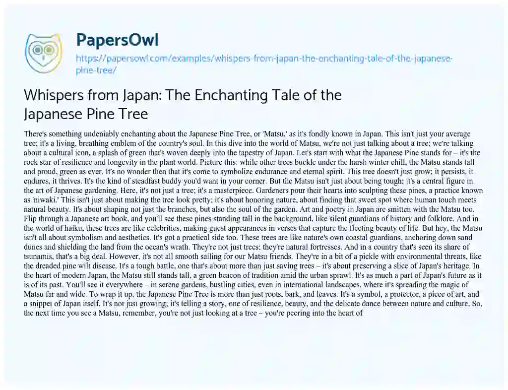 Essay on Whispers from Japan: the Enchanting Tale of the Japanese Pine Tree