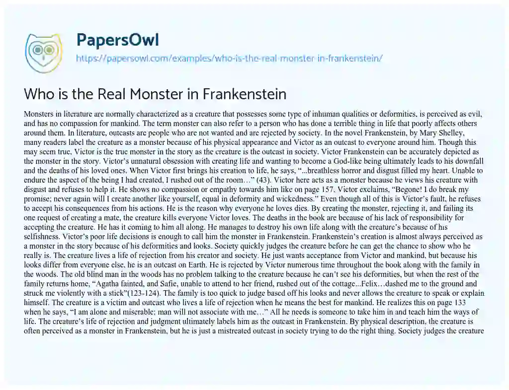 Essay on Who is the Real Monster in Frankenstein