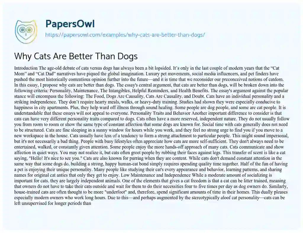 Essay on Why Cats Are Better Than Dogs