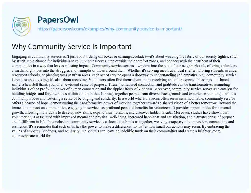 Essay on Why Community Service is Important