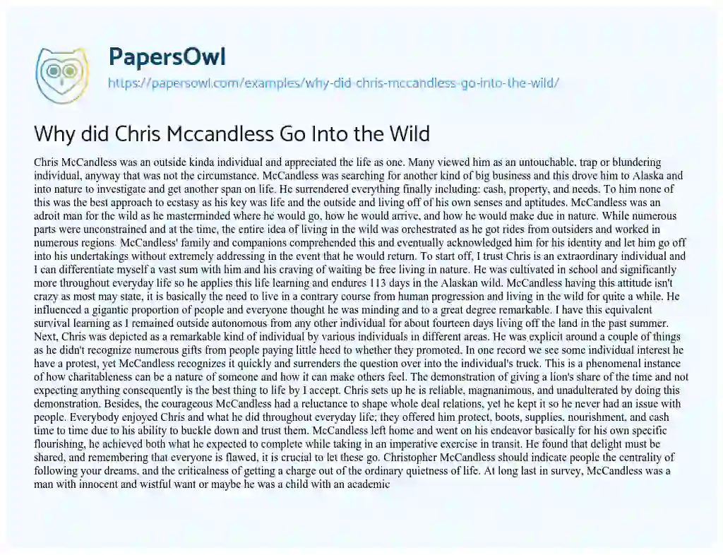 Essay on Why did Chris Mccandless Go into the Wild