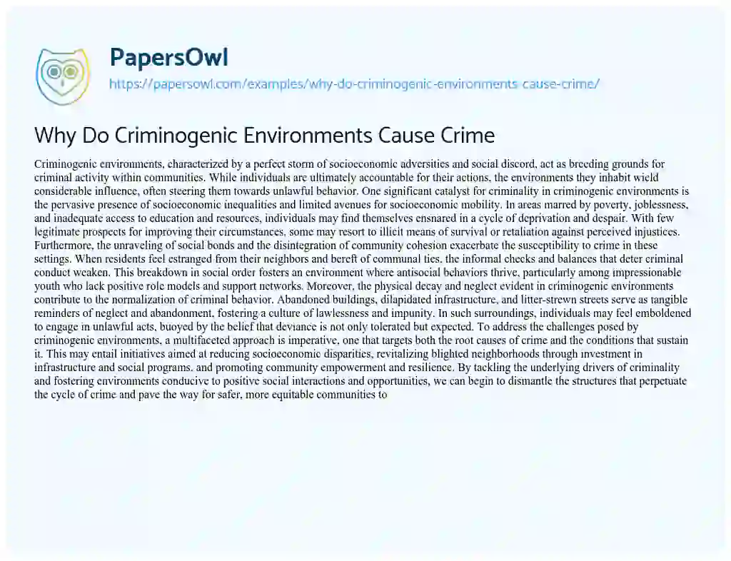 Essay on Why do Criminogenic Environments Cause Crime