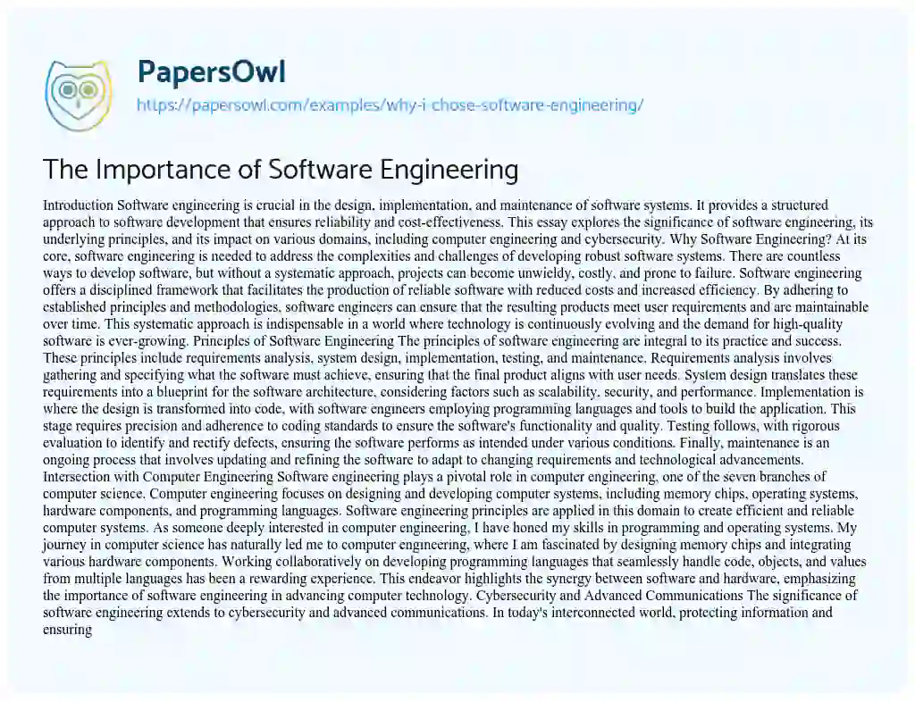 Essay on Why i Chose Software Engineering