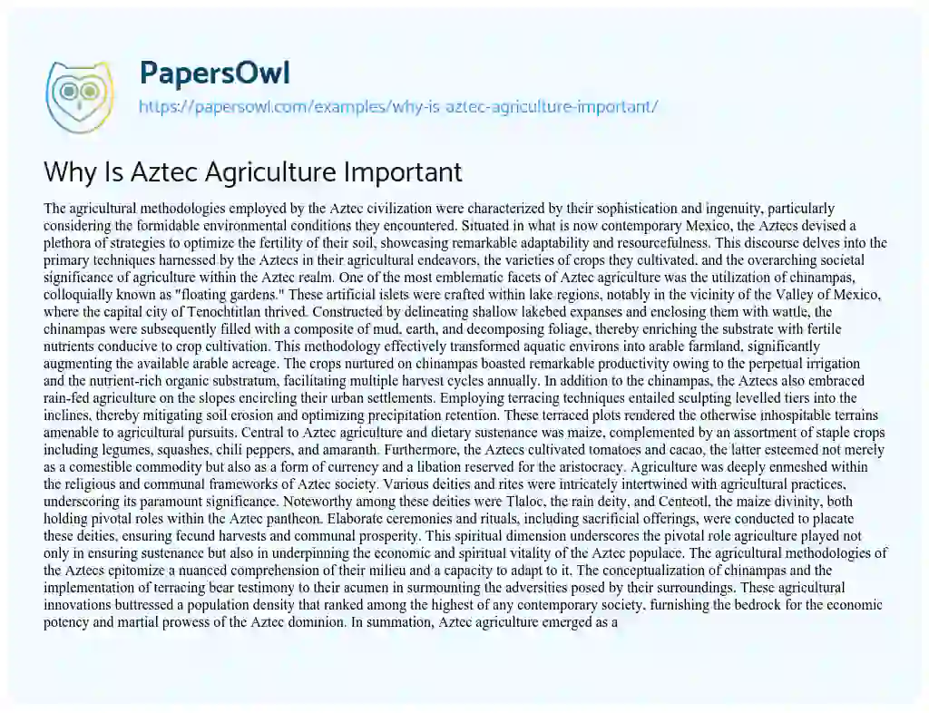 Essay on Why is Aztec Agriculture Important