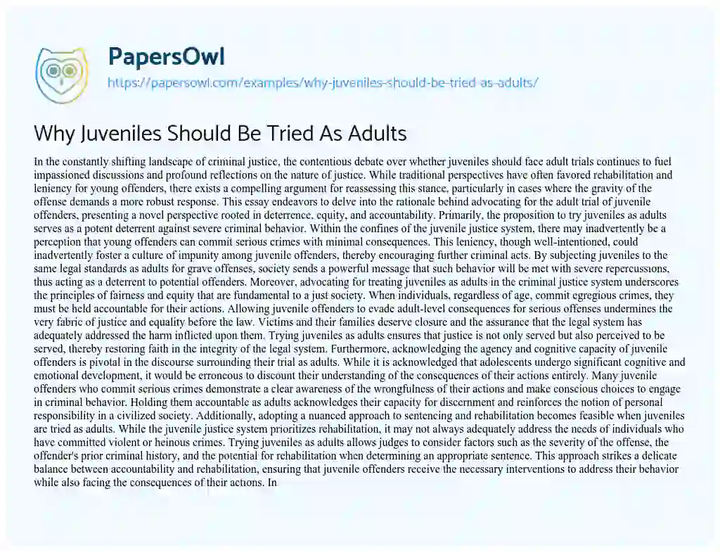 Essay on Why Juveniles should be Tried as Adults