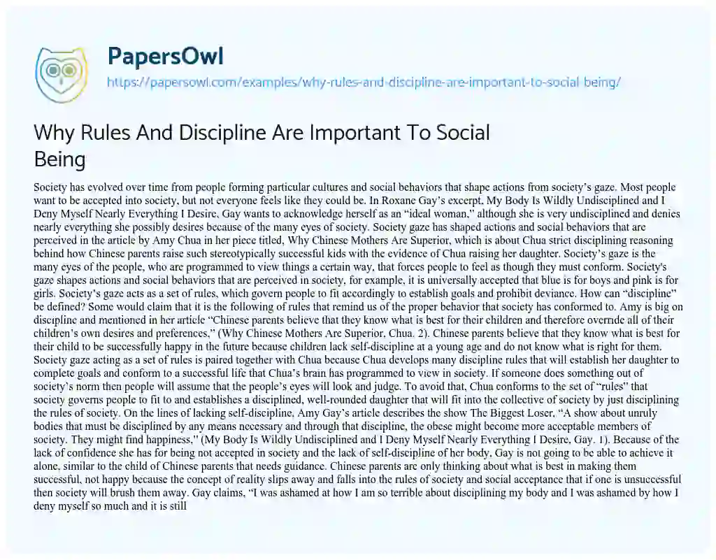 Essay on Why Rules and Discipline are Important to Social being