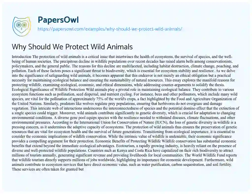 Essay on Why Should We Protect Wild Animals