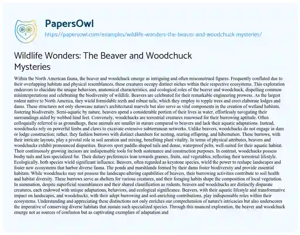 Essay on Wildlife Wonders: the Beaver and Woodchuck Mysteries