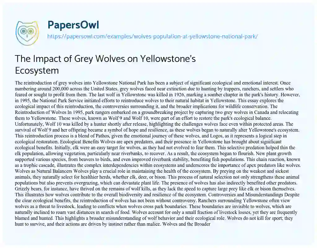 Essay on Wolves Population at Yellowstone National Park