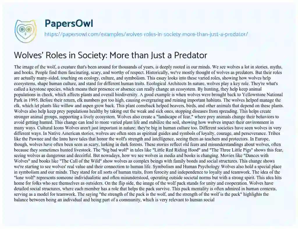 Essay on Wolves’ Roles in Society: More than Just a Predator