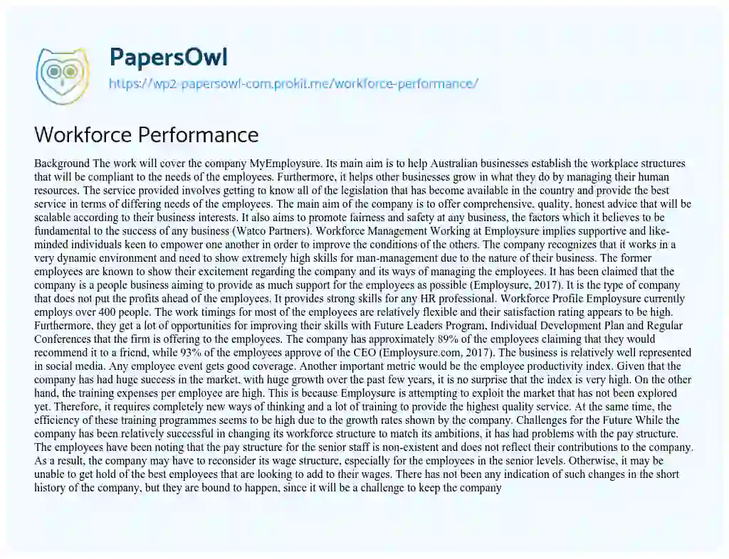 Workforce Performance essay
