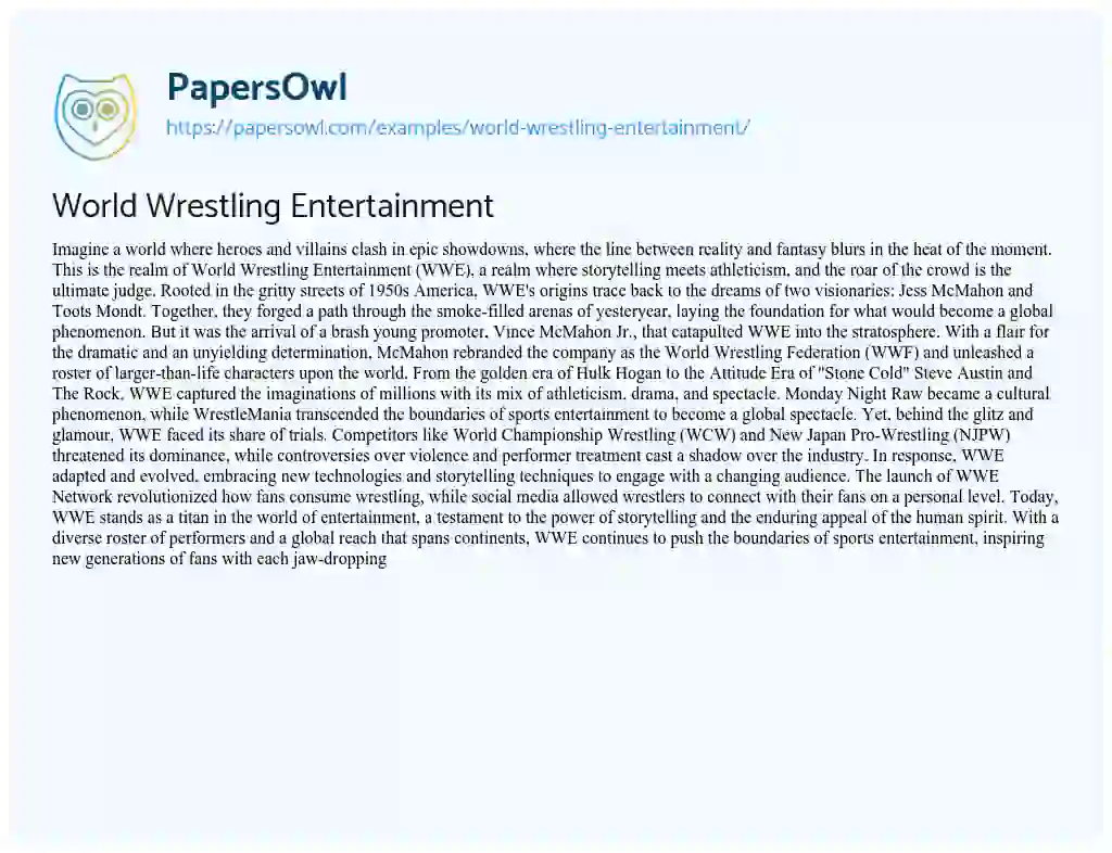 Essay on World Wrestling Entertainment