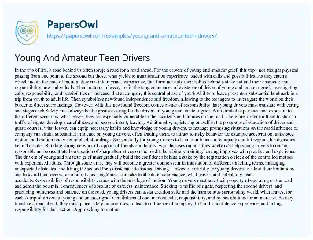 Essay on Young and Amateur Teen Drivers