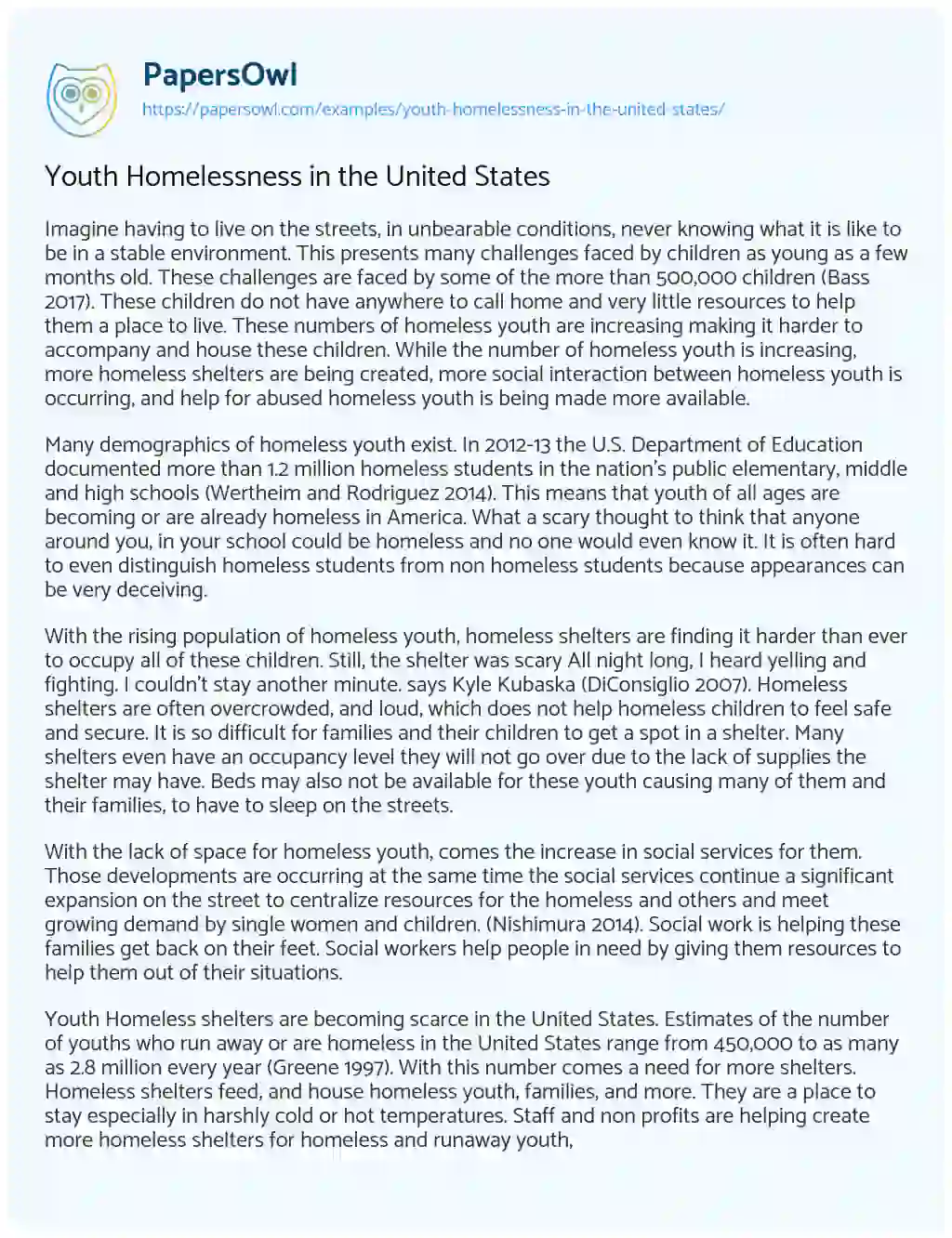Essay on Youth Homelessness in the United States