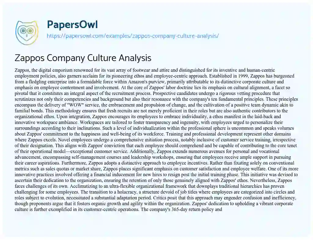 Essay on Zappos Company Culture Analysis