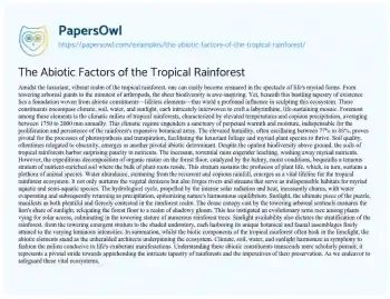 Essay on The Abiotic Factors of the Tropical Rainforest