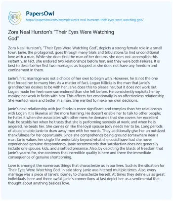 Essay on Zora Neal Hurston’s “Their Eyes were Watching God”