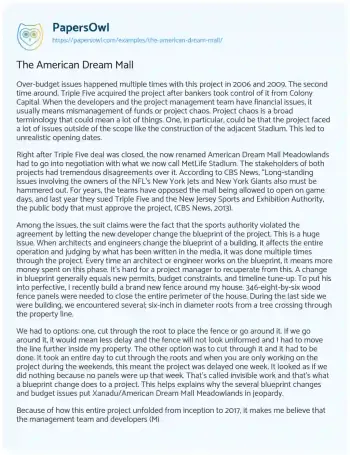 Essay on The American Dream Mall