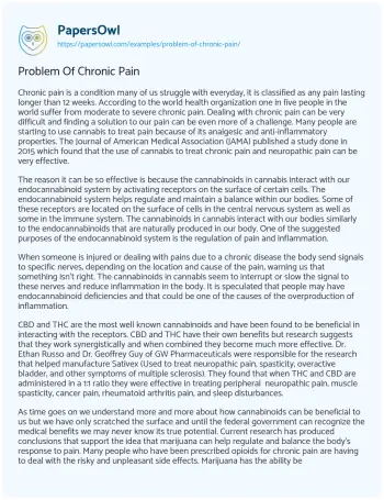 Essay on Problem of Chronic Pain