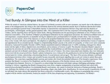 Essay on Ted Bundy: a Glimpse into the Mind of a Killer