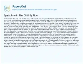 Essay on Symbolism in the Child by Tiger