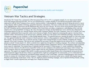 Essay on Vietnam War Tactics and Strategies