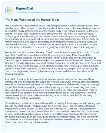 Essay on The Many Wonders of the Human Brain