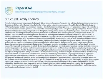 Essay on Structural Family Therapy