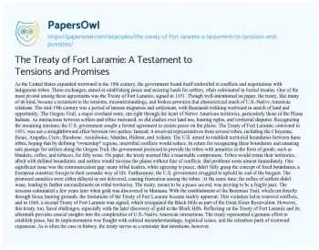 Essay on The Treaty of Fort Laramie: a Testament to Tensions and Promises