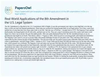 Essay on Real-World Applications of the 8th Amendment in the U.S. Legal System