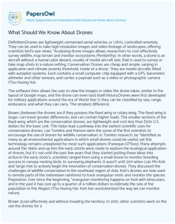 Essay on What should we Know about Drones