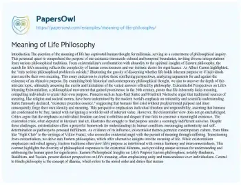 Essay on Meaning of Life Philosophy