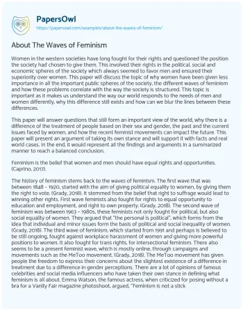 Essay on About the Waves of Feminism