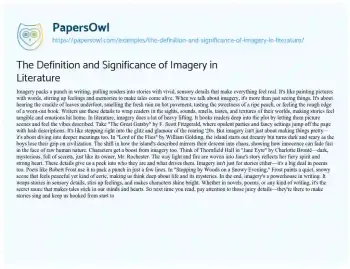 Essay on The Definition and Significance of Imagery in Literature