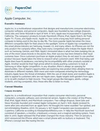 Essay on Apple Computer, Inc.