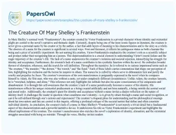 Essay on The Creature of Mary Shelley ‘s Frankenstein