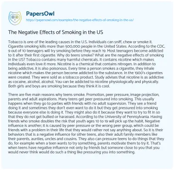 Essay on The Negative Effects of Smoking in the US