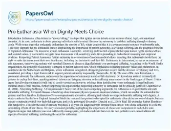 Essay on Pro Euthanasia: when Dignity Meets Choice