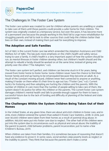 Essay on The Challenges in the Foster Care System