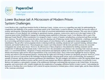 Essay on Lower Buckeye Jail: a Microcosm of Modern Prison System Challenges