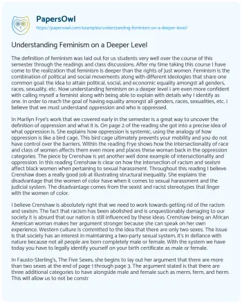 Essay on Understanding Feminism on a Deeper Level