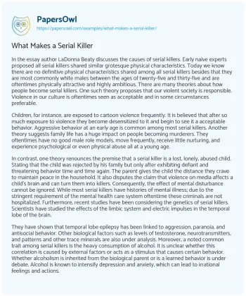 Essay on What Makes a Serial Killer