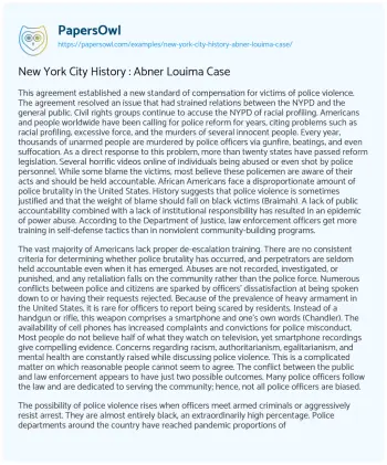 Essay on New York City History : Abner Louima Case