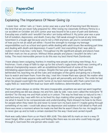 Essay on Explaining the Importance of Never Giving up