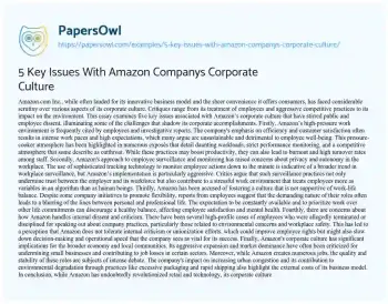 Essay on 5 Key Issues with Amazon Companys Corporate Culture