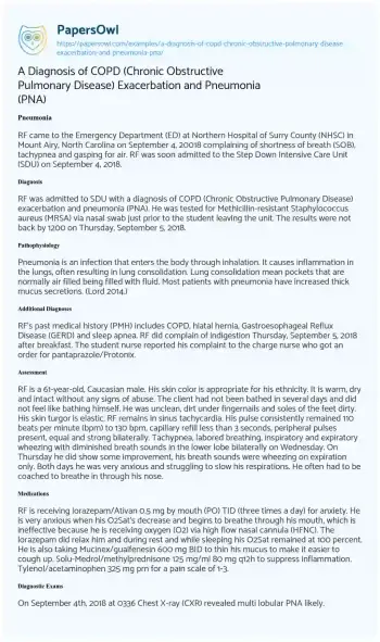 Essay on A Diagnosis of COPD (Chronic Obstructive Pulmonary Disease) Exacerbation and Pneumonia (PNA)